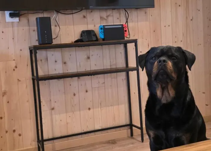 度假居 Domaine Des Bois Fleuris *